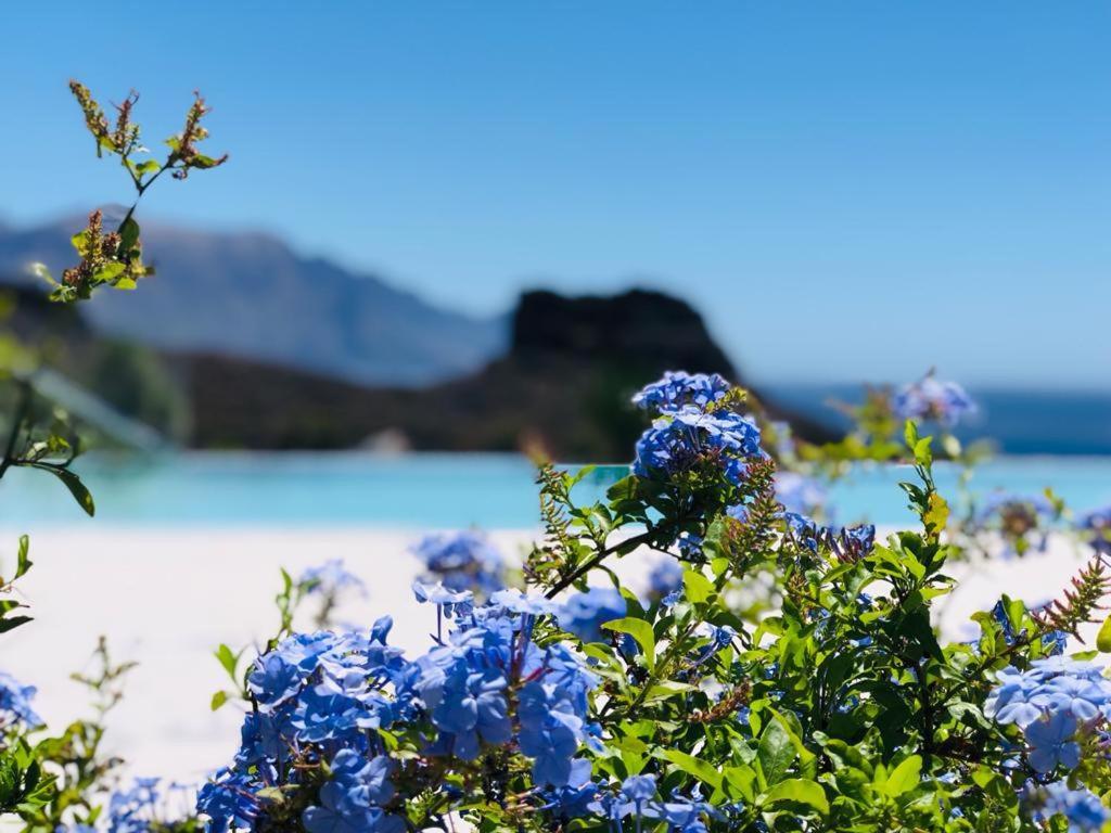 Paraisos De Agaete ปัวร์โต เด ลาส นิเอเวส ภายนอก รูปภาพ